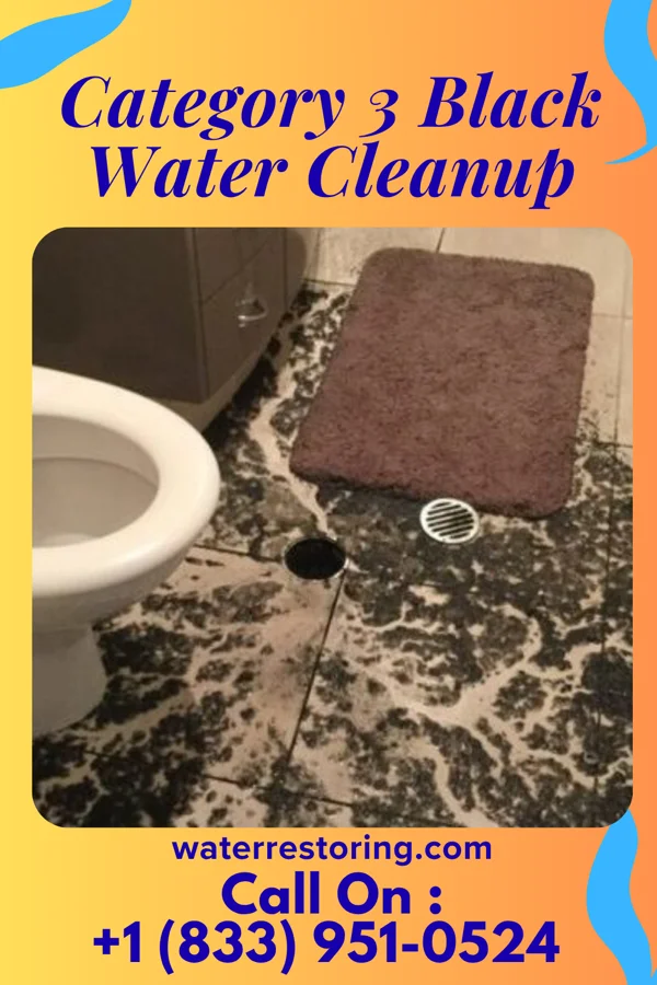Category 3 Black Water Cleanup in Akron, PA