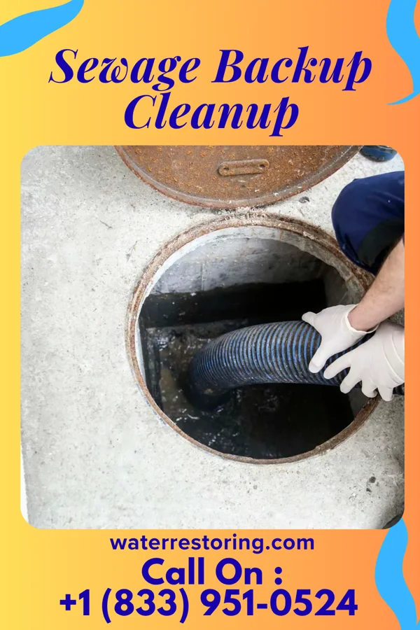 Sewage Backup Cleanup in Akron, PA